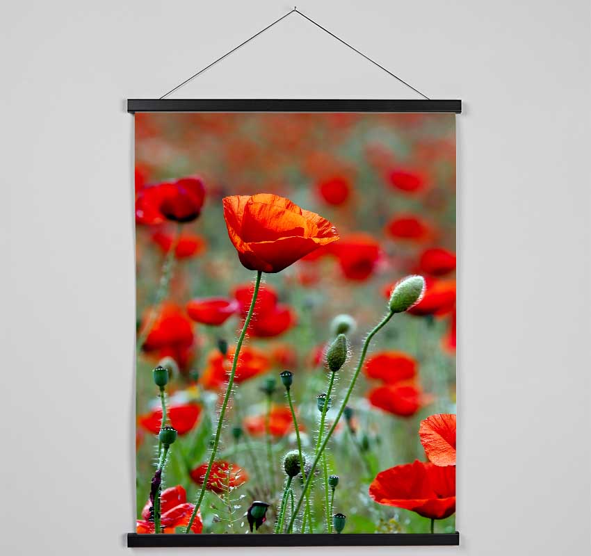 Red Poppy Field Galore Hanging Poster - Wallart-Direct UK