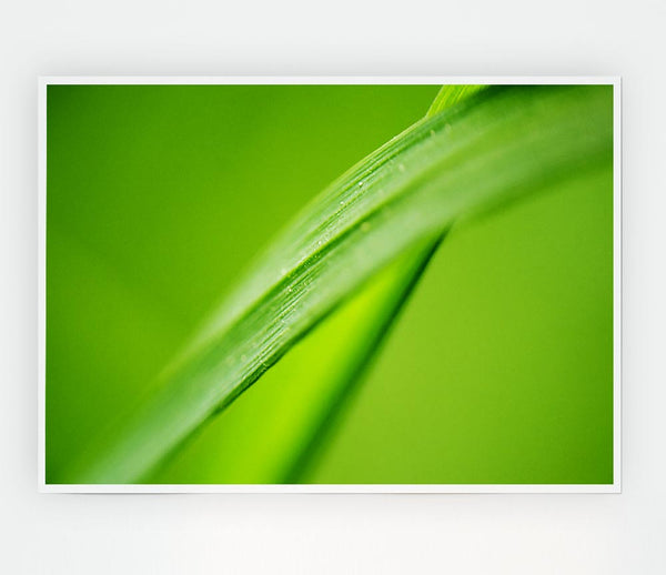 Green On Green Print Poster Wall Art