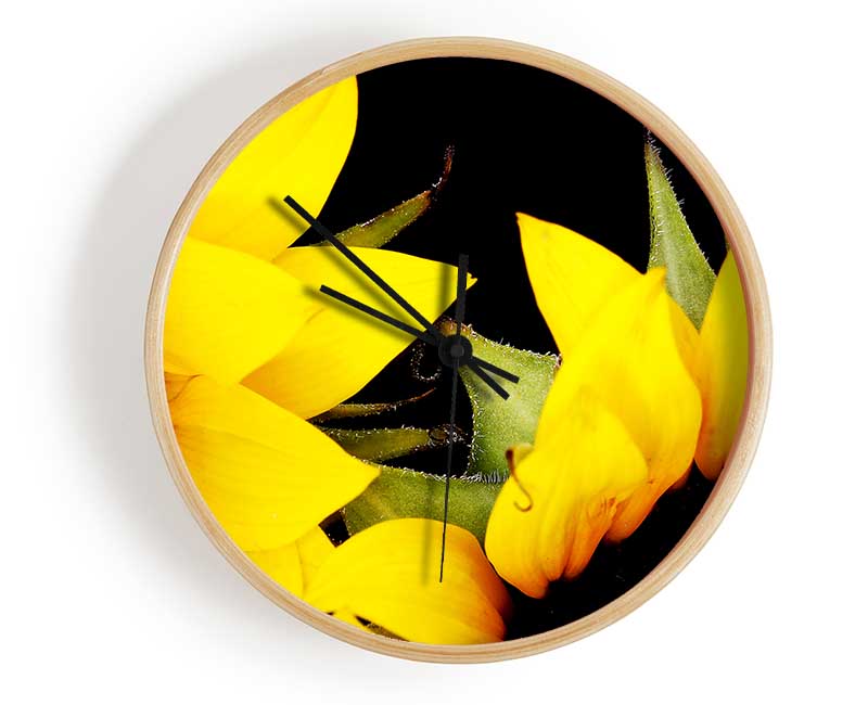 Close-Up Of A Yellow Sunflowers Clock - Wallart-Direct UK