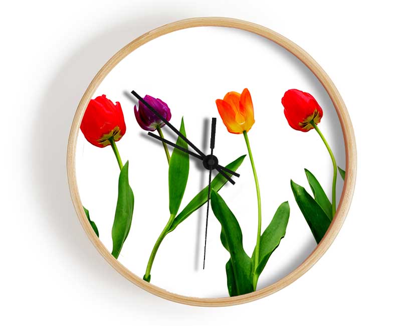 Colours Of Tulips Clock - Wallart-Direct UK