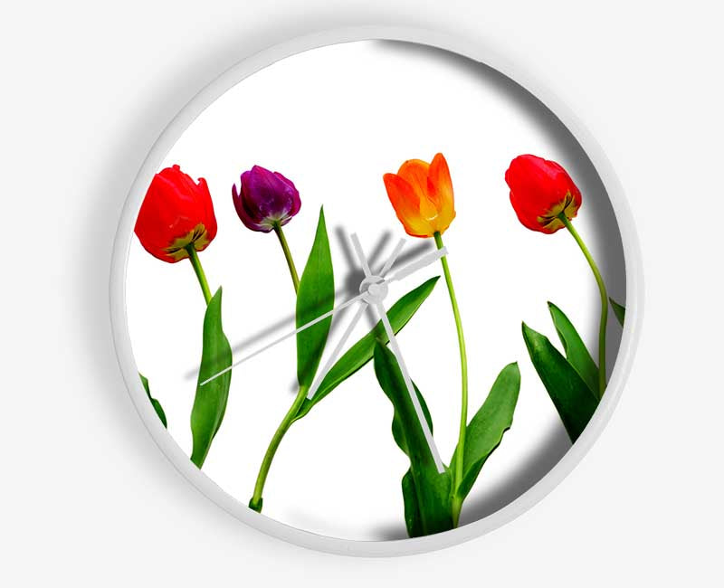 Colours Of Tulips Clock - Wallart-Direct UK