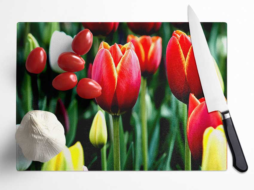 Tulips In Bloom Glass Chopping Board