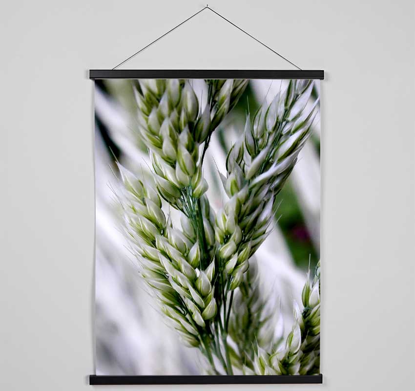 Soft Winters Barley Hanging Poster - Wallart-Direct UK