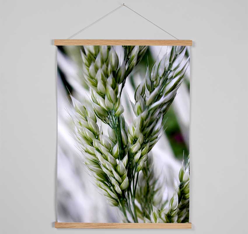 Soft Winters Barley Hanging Poster - Wallart-Direct UK