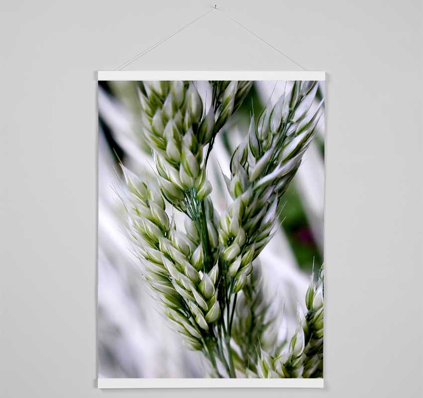 Soft Winters Barley Hanging Poster - Wallart-Direct UK