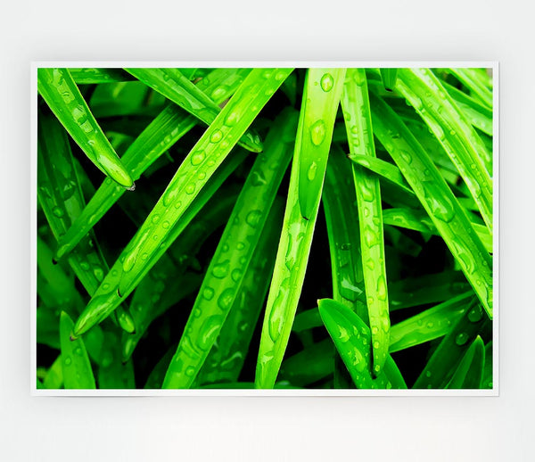 Green Leaves Print Poster Wall Art