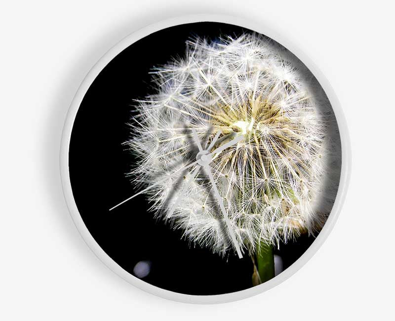 Dandelion Dream Clock - Wallart-Direct UK