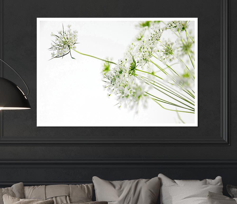 White On White Flowers Print Poster Wall Art