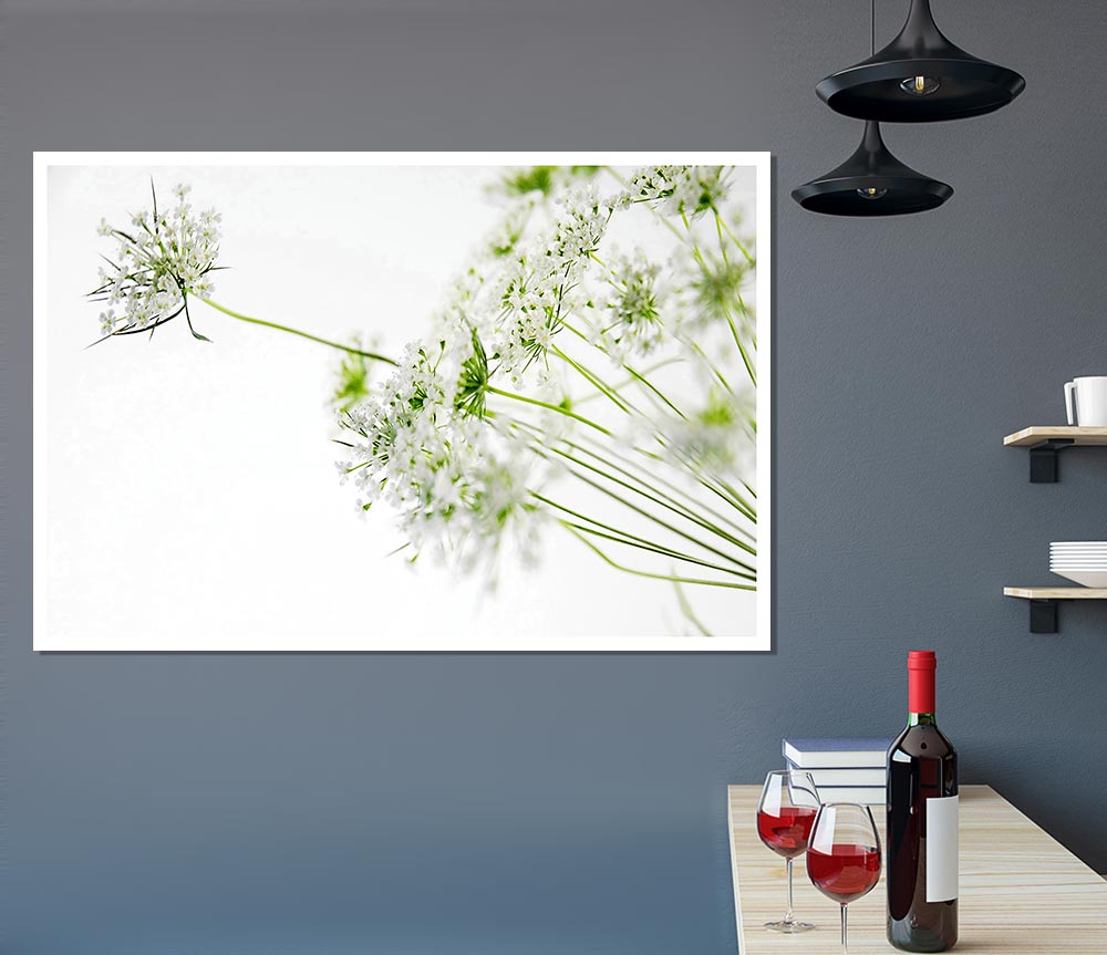 White On White Flowers Print Poster Wall Art