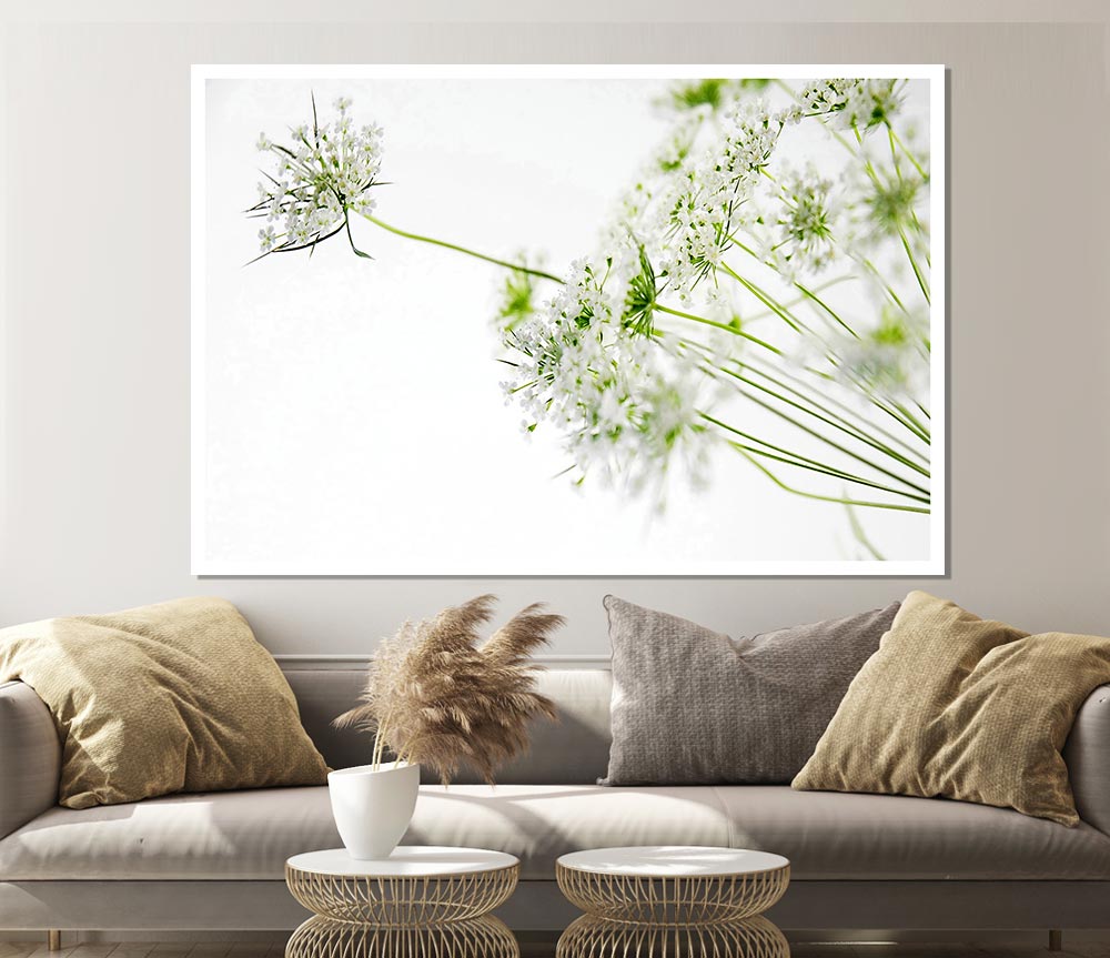 White On White Flowers Print Poster Wall Art