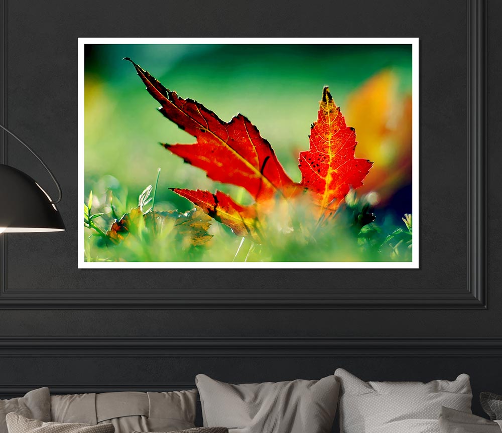 Autumn Red Leave On The Ground Print Poster Wall Art