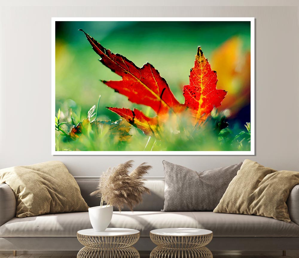 Autumn Red Leave On The Ground Print Poster Wall Art