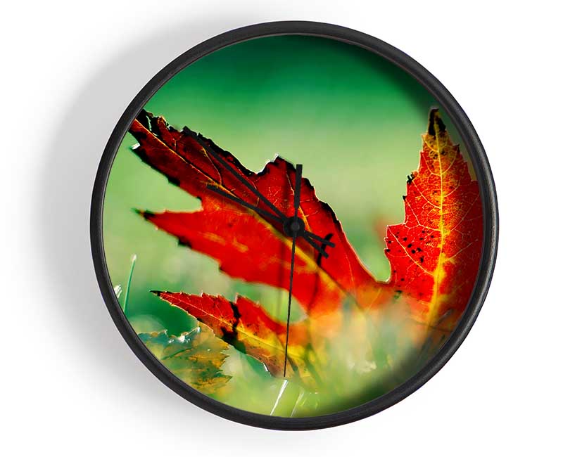 Autumn Red Leave On The Ground Clock - Wallart-Direct UK