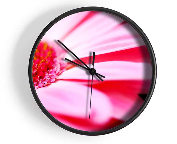 Pink Gerbera Close-Up Clock - Wallart-Direct UK