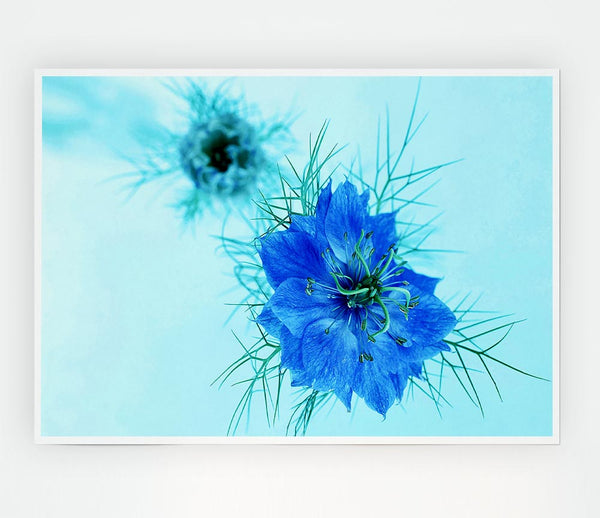 Blue On Blue Flower Print Poster Wall Art