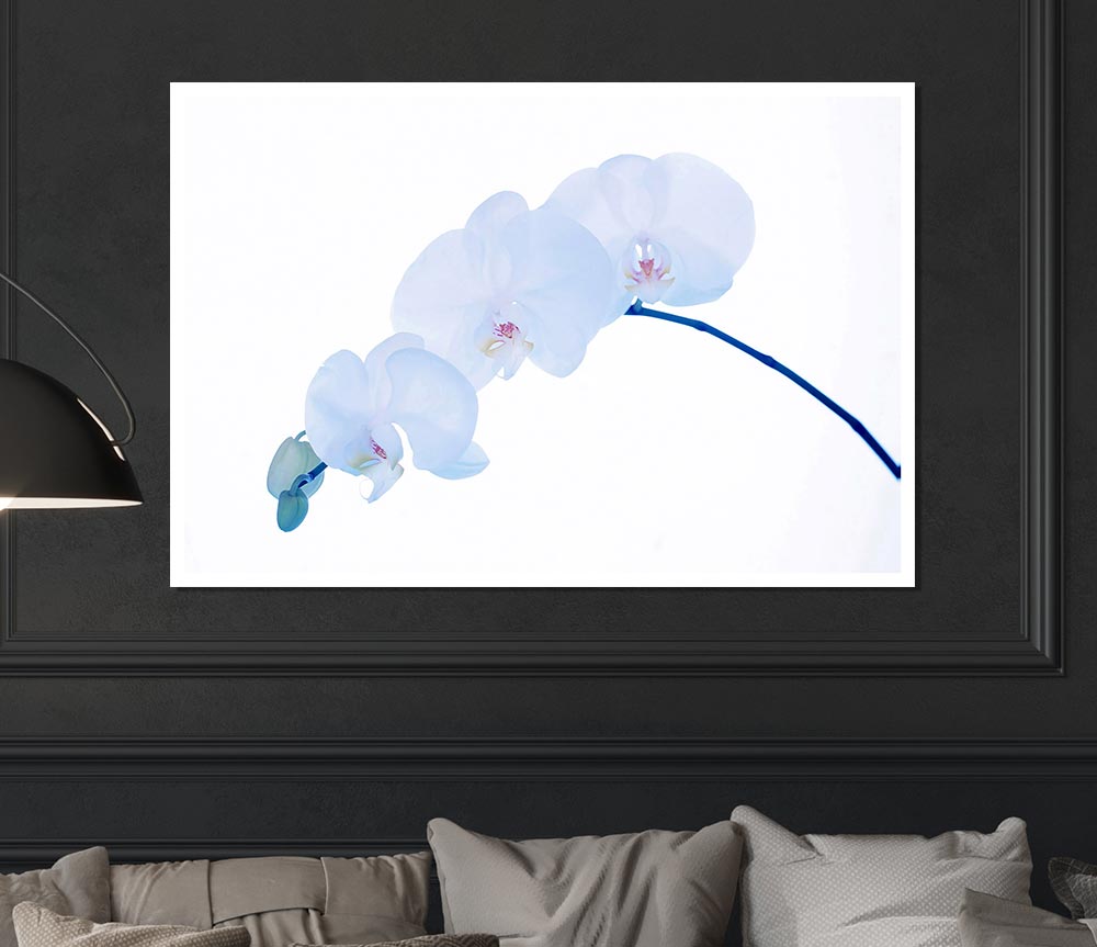 Baby Blue Stem Print Poster Wall Art