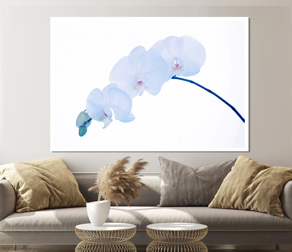 Baby Blue Stem Print Poster Wall Art