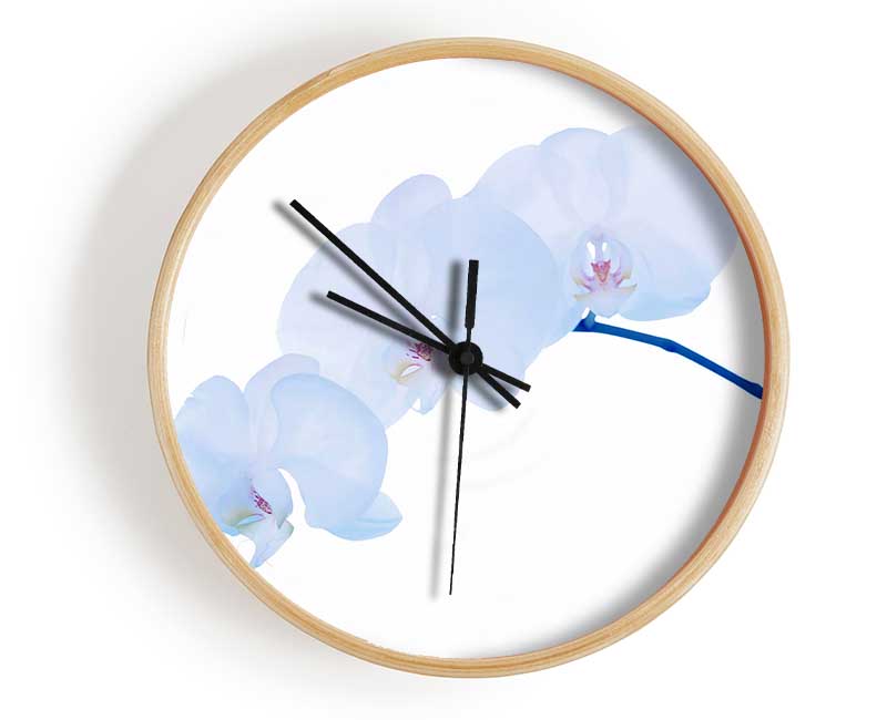 Baby Blue Stem Clock - Wallart-Direct UK