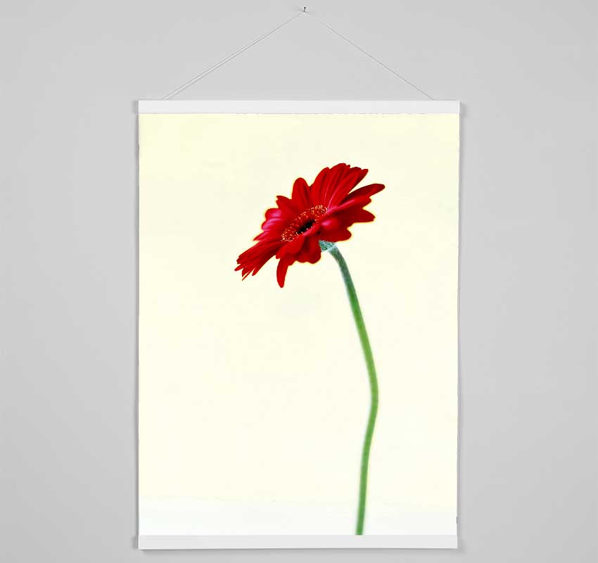 Single Red Gerbera Hanging Poster - Wallart-Direct UK