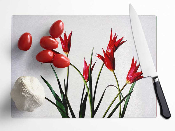 Red Fire Tulip Bouquet Glass Chopping Board