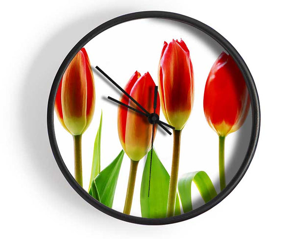 Red Tulip Quads Clock - Wallart-Direct UK