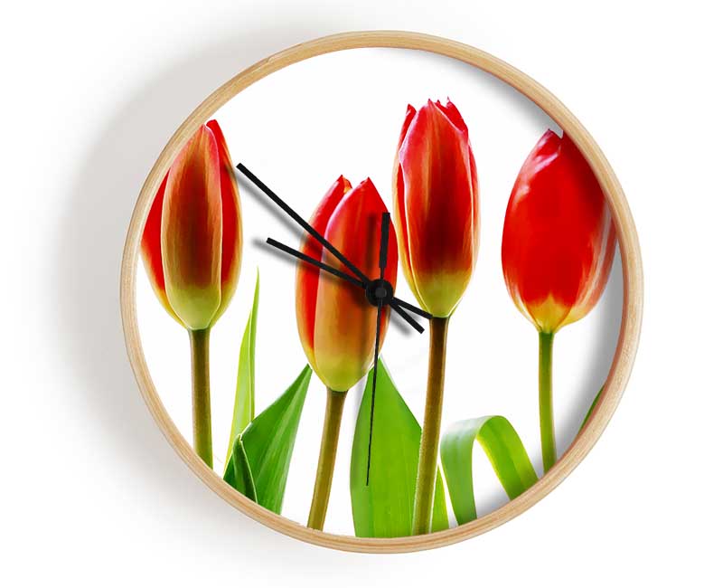 Red Tulip Quads Clock - Wallart-Direct UK