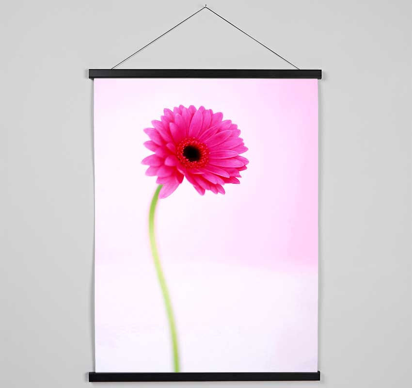 Pink On Pink Gerbera Hanging Poster - Wallart-Direct UK