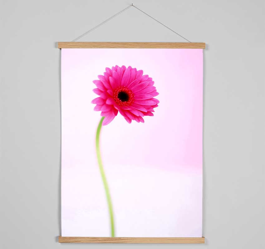 Pink On Pink Gerbera Hanging Poster - Wallart-Direct UK