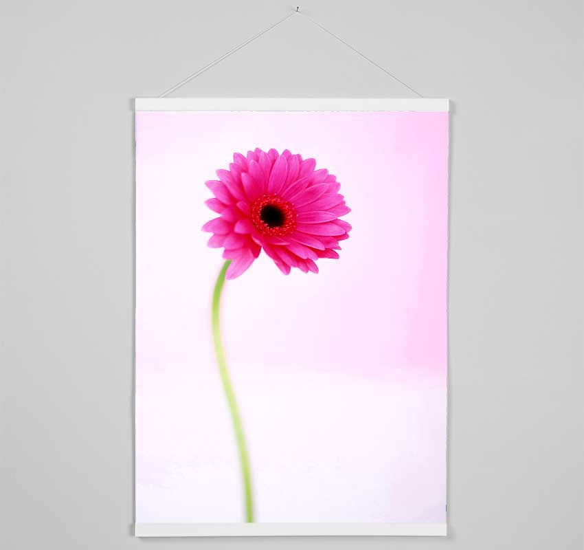 Pink On Pink Gerbera Hanging Poster - Wallart-Direct UK