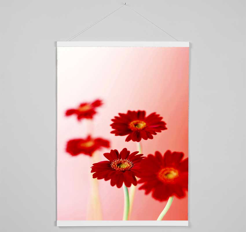 Red Gerberas On Pink Hanging Poster - Wallart-Direct UK