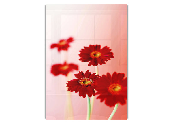 Red Gerberas On Pink