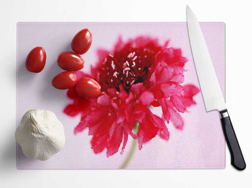 Pink On Pink Pom Pom Glass Chopping Board