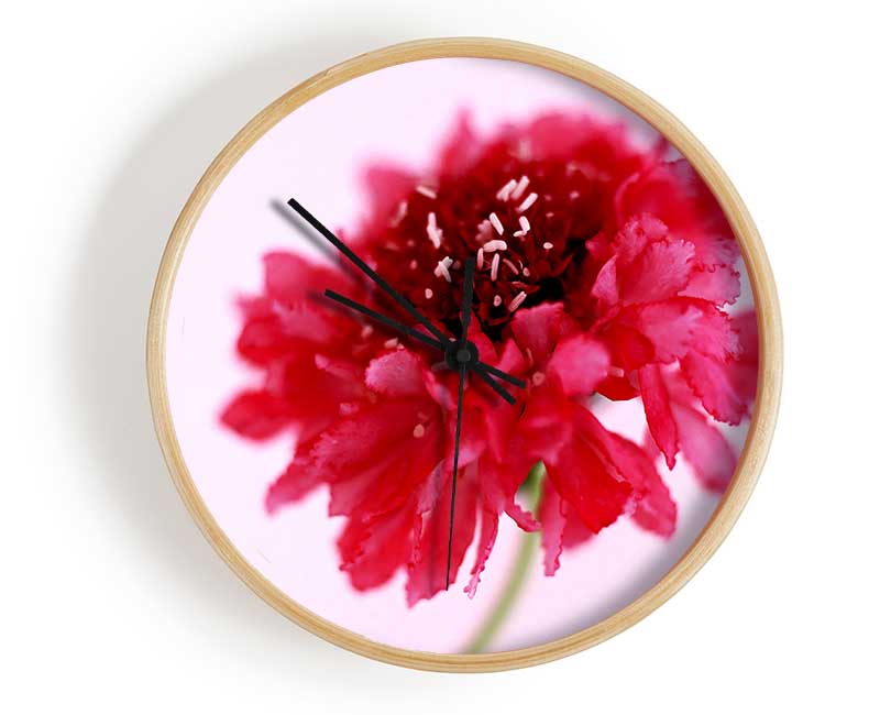 Pink On Pink Pom Pom Clock - Wallart-Direct UK