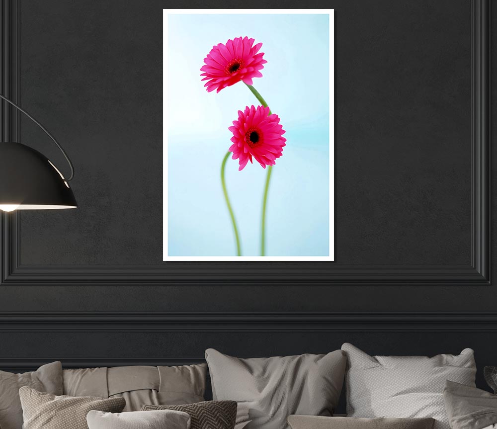 Cerise Daisy Duo On Blue Print Poster Wall Art