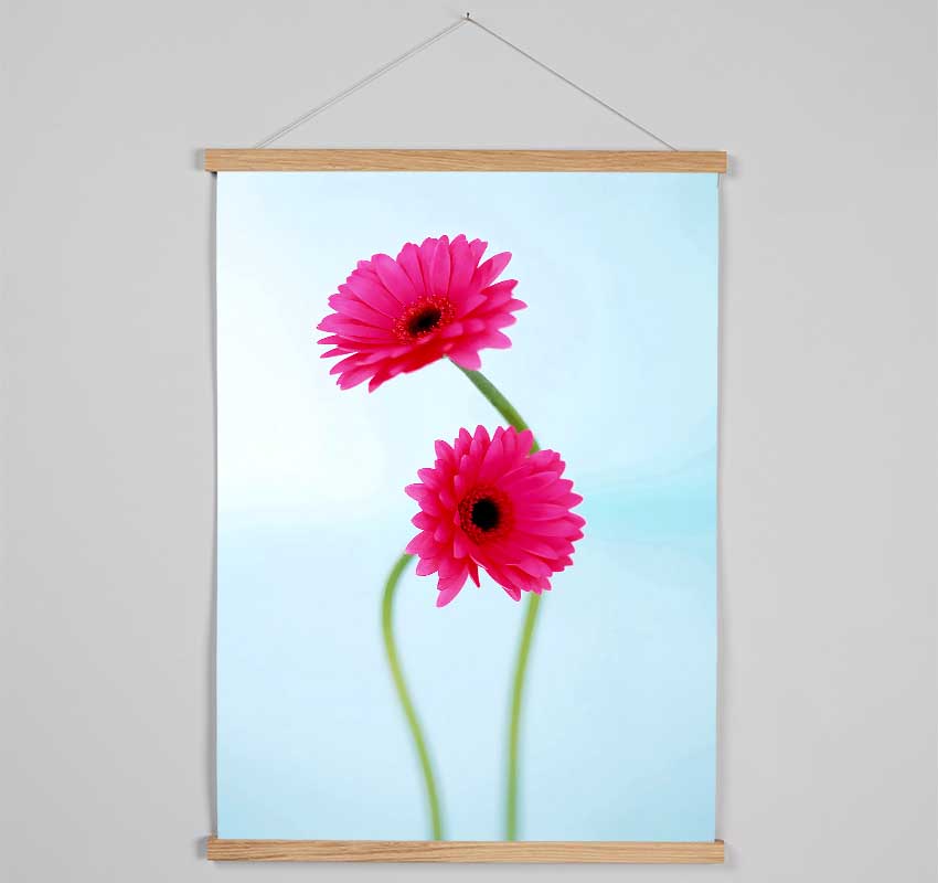 Cerise Daisy Duo On Blue Hanging Poster - Wallart-Direct UK