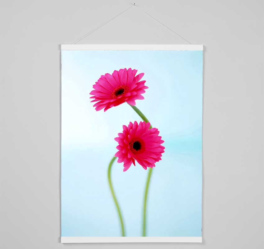 Cerise Daisy Duo On Blue Hanging Poster - Wallart-Direct UK