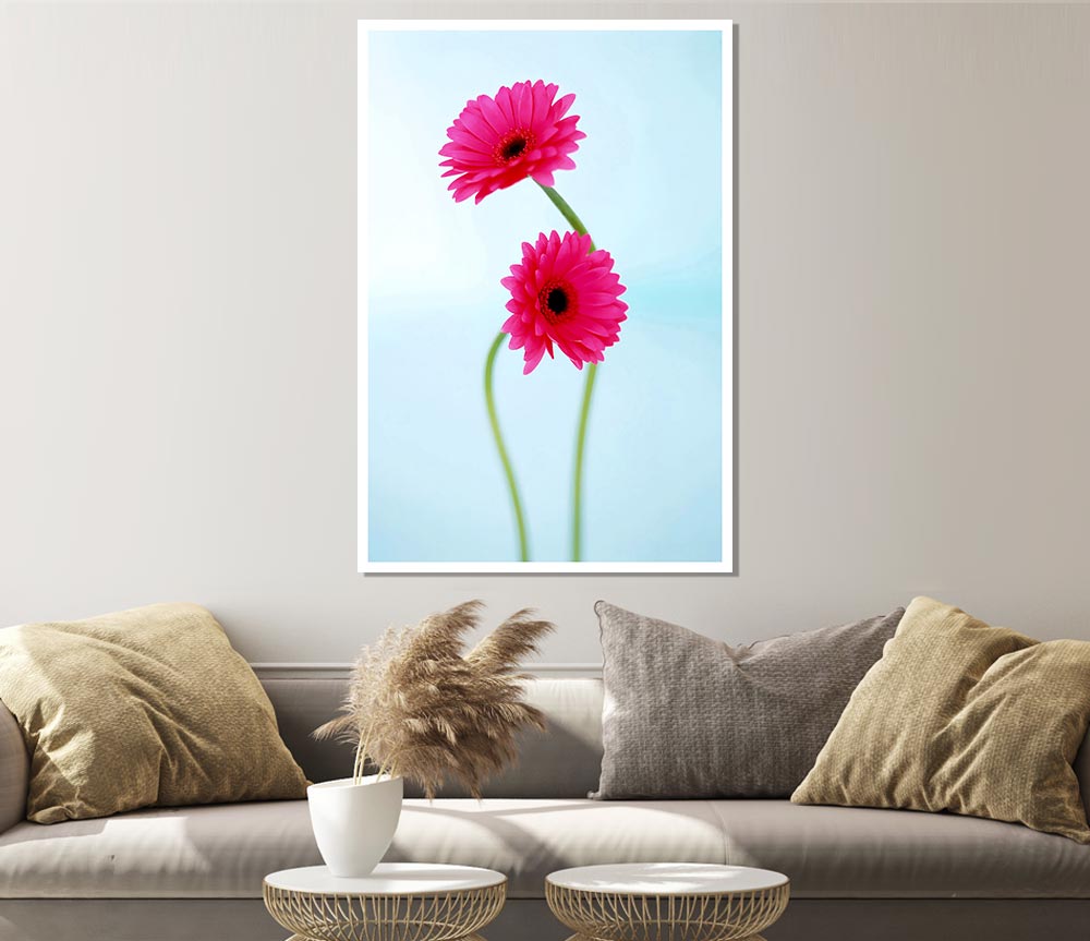 Cerise Daisy Duo On Blue Print Poster Wall Art