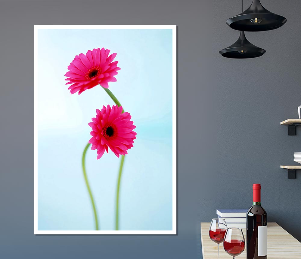 Cerise Daisy Duo On Blue Print Poster Wall Art