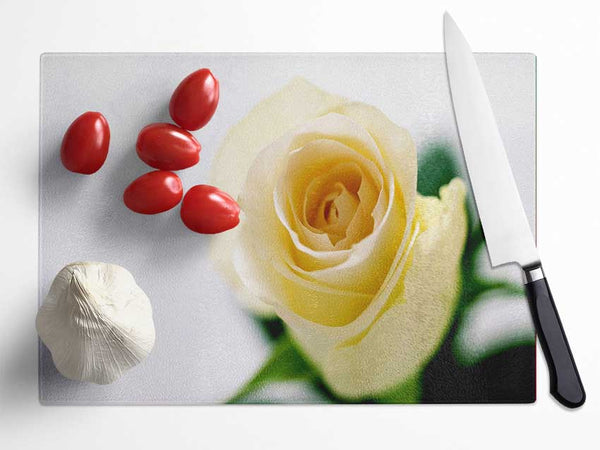 Single Cream Rose Glass Chopping Board