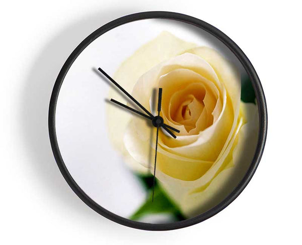 Single Cream Rose Clock - Wallart-Direct UK