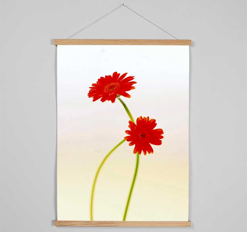 Twin Red Daisies Hanging Poster - Wallart-Direct UK