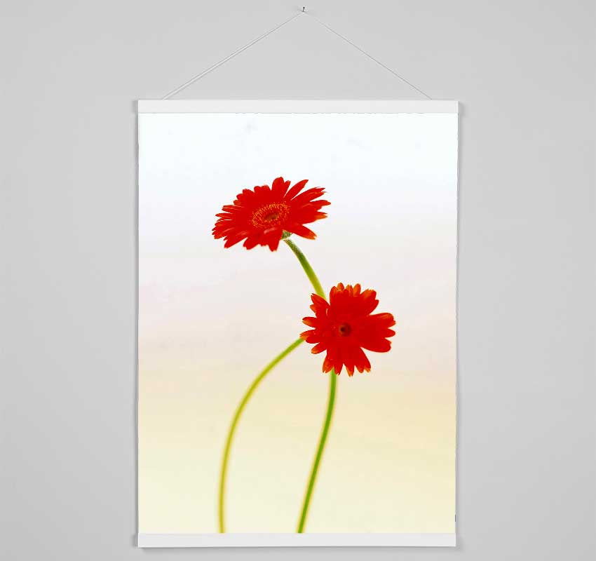 Twin Red Daisies Hanging Poster - Wallart-Direct UK