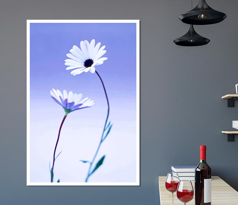 White Daisy Duo On Lilac Print Poster Wall Art