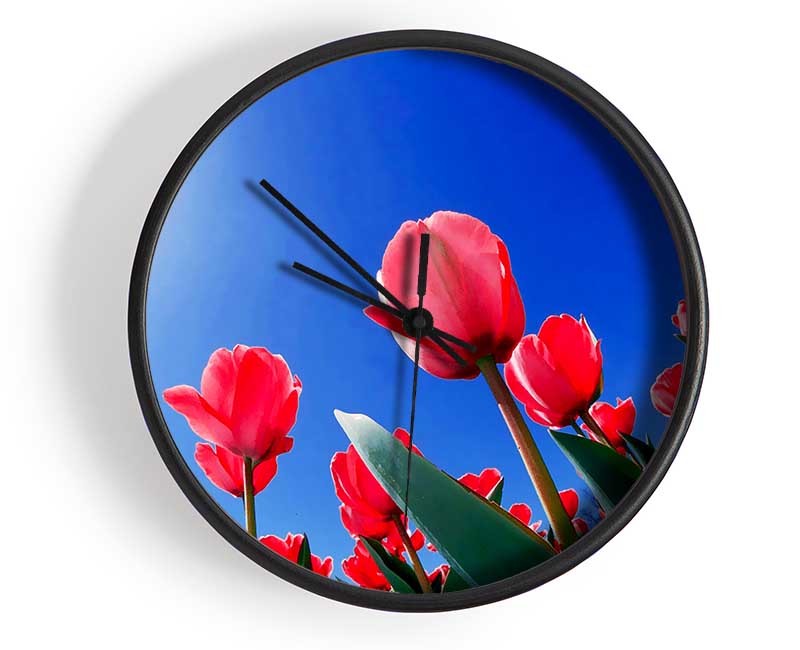 Pink Tulips In The Blazing Sun Clock - Wallart-Direct UK