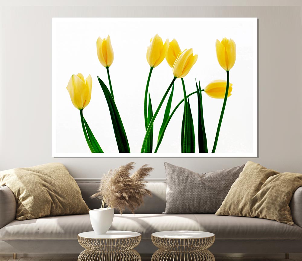 Yellow Tulip March Print Poster Wall Art