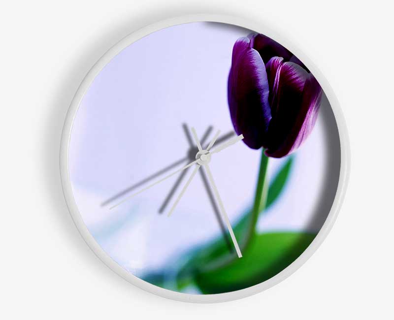 Single Purple Tulip Clock - Wallart-Direct UK