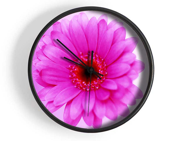 Pink On Pink Petals Clock - Wallart-Direct UK