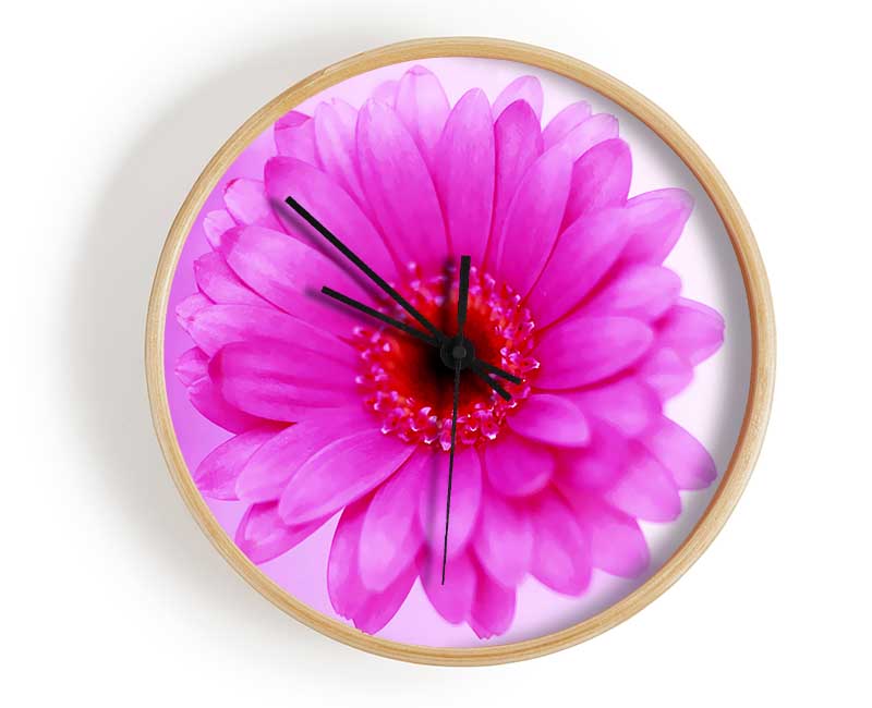 Pink On Pink Petals Clock - Wallart-Direct UK