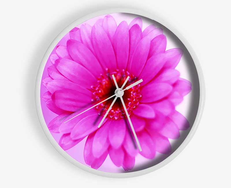 Pink On Pink Petals Clock - Wallart-Direct UK