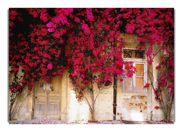 Italian Farmhouse Beauty